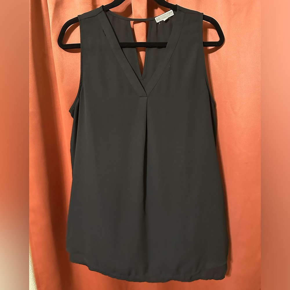 Pleione Black Sleeveless Semi Sheer Top